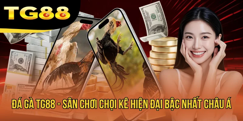 Đá Gà TG88 - Sân Chơi Chọi Kê Hiện Đại Bậc Nhất Châu Á